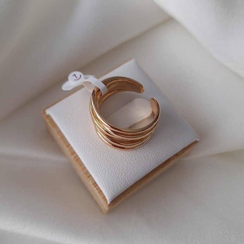 Reguliuojamas žiedas 1